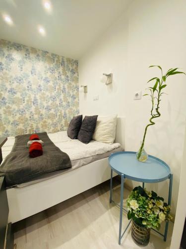 Downtown Mini Apartment