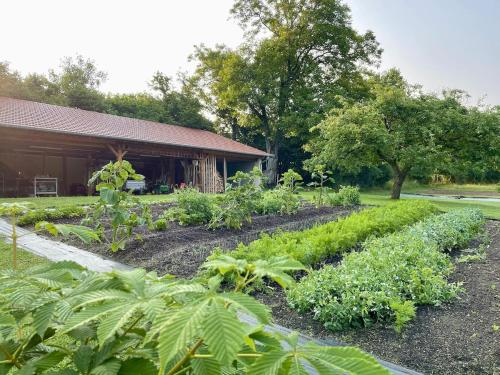 a garden of vegetables in front of a building at Bel Esprit - Chambres d'hôtes in Kalhausen