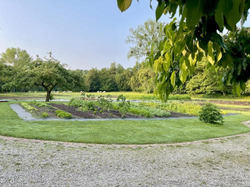 a garden with many plants in a park at Bel Esprit - Chambres d'hôtes in Kalhausen