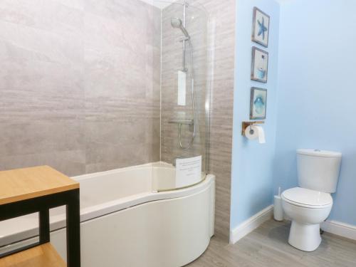 a bathroom with a tub and a toilet at Tregynrig Bach in Cemaes Bay
