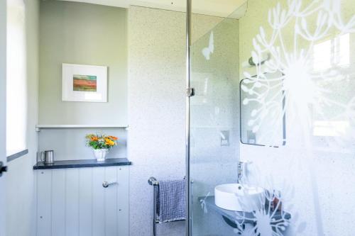 a bathroom with a shower and a sink at 3 Bed in Loddiswell oc-t34185 in Churchstow