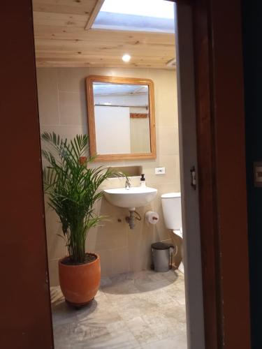 a bathroom with a sink and a mirror and a plant at Rincon Acogedor in Bogotá