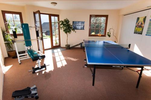 ein Wohnzimmer mit einer Tischtennisplatte und Stühlen in der Unterkunft Residenz Bocksberg-Blick & St. Florian in Hahnenklee-Bockswiese