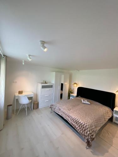 Gallery image of Casa Eden in Baia Mare