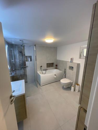 a bathroom with a toilet and a shower and a sink at Casa Eden in Baia Mare