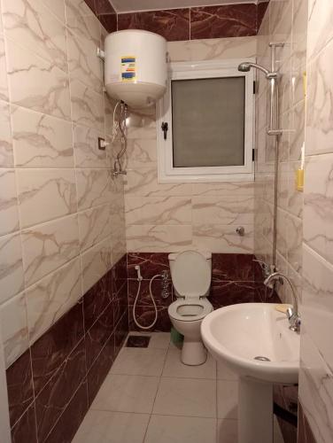 a bathroom with a toilet and a sink at Nour Tours in Cairo