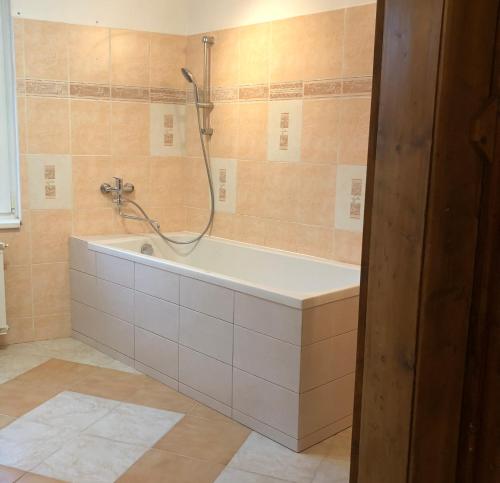 a bathroom with a bath tub with a shower at Apartmány Apollón in Liberec