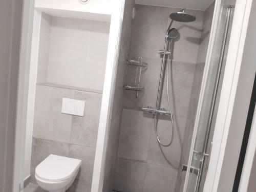 a bathroom with a shower with a toilet and a shower at Iglu in Villeneuve-le-Roi