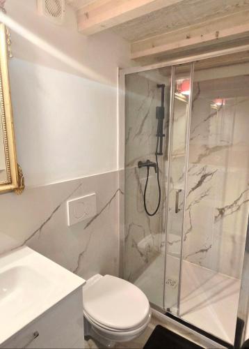 a bathroom with a shower and a toilet and a sink at B&B MaMi in Agno