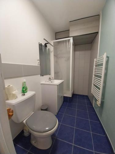 a small bathroom with a toilet and a sink at Centre ville Douarnenez in Douarnenez