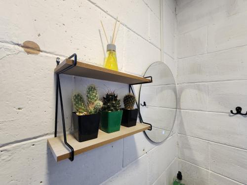 a shelf with three plants on a wall at Las Palmeritas in Ahuachapán