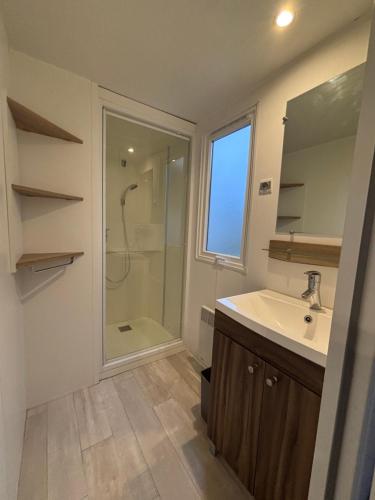 a bathroom with a sink and a shower at Chaleureux Tiny Home à 45 mn du Zoo de Beauval in Veuzain-sur-Loire