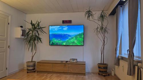 a living room with two potted plants and a tv on the wall at Plads til børnefamilien i hjertet af Esbjerg in Esbjerg