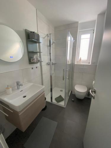 a bathroom with a sink and a shower and a toilet at Ferienhaus Sonnenblick Wernigerode in Wernigerode