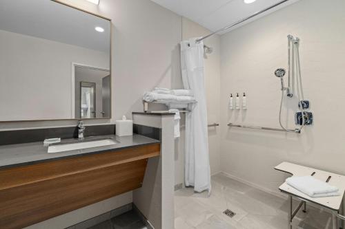 a bathroom with a sink and a shower at Fairfield Inn & Suites Dixon in Dixon