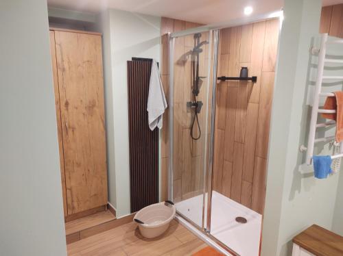 a bathroom with a shower and a toilet at Apartament in Rabka-Zdrój