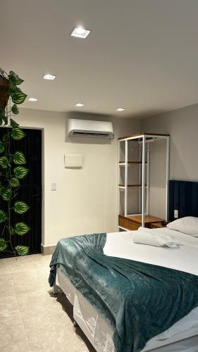 a bedroom with a large bed and a plant at Seridó Acomodações in Caicó