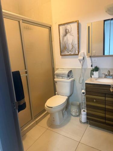 a bathroom with a toilet and a shower and a sink at Sunset Point San Carlos in San Carlos