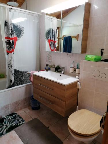 a bathroom with a sink and a toilet and a mirror at Les Comblés des Combes in Ollon