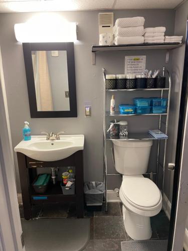 a bathroom with a sink and a toilet and a mirror at The Samone's in Atlanta