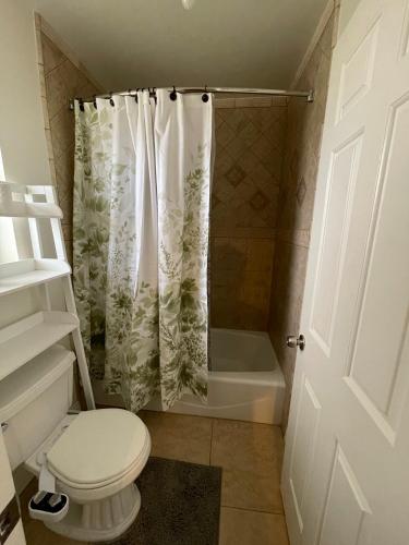 a bathroom with a toilet and a shower curtain at LA Lux Suite with Private Bathroom in Santa Clarita