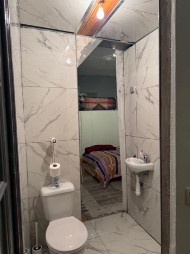 a bathroom with a toilet and a sink at Fly City châtelet in Châtelet