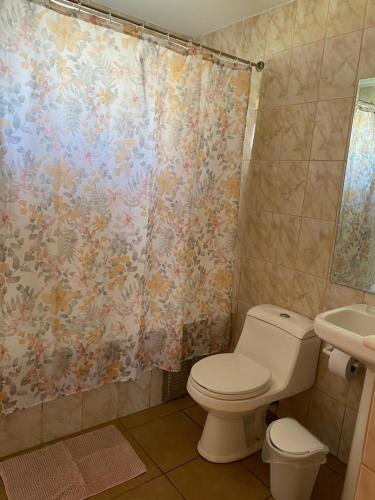 a bathroom with a toilet and a shower curtain at Cómoda Casa Con Vista al Mar in El Cerrillo