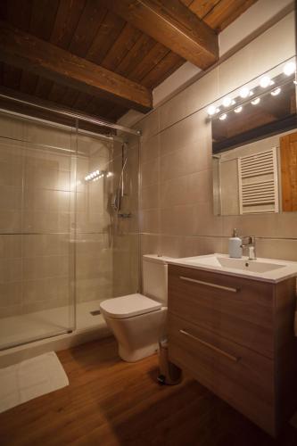 a bathroom with a toilet and a shower and a sink at El Paller de Casa Parramon in Peramea