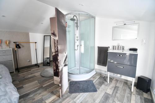 a bathroom with a shower and a sink at République Le Nid Douillet in Saint-Dizier