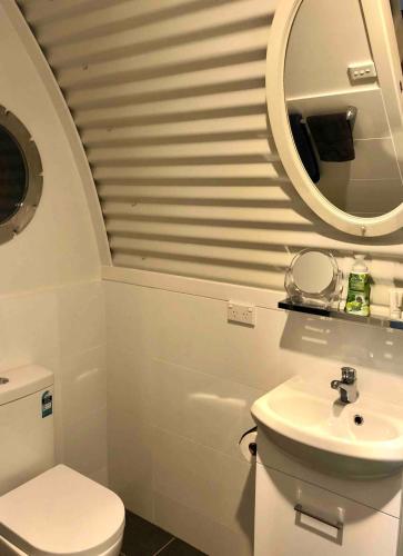 a bathroom with a sink and a toilet and a mirror at Romantic Couples Retreat in Mount Tamborine