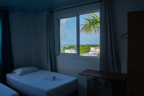 a room with a bed and a window with a palm tree at Sukha Hippocampus San Andrés Isla in San Andrés