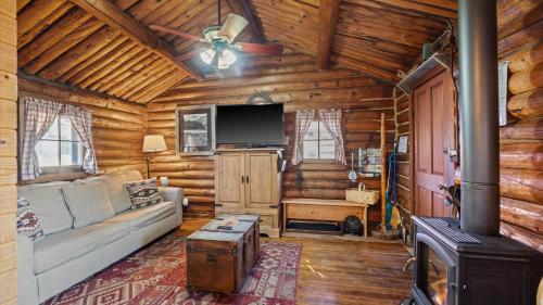 a living room with a couch and a tv in a log cabin at Wild Bills Cabin in Red Lodge