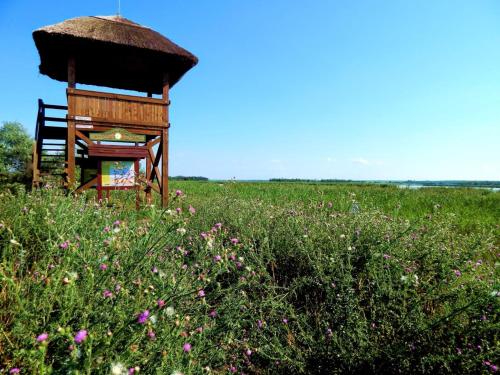 a gazebo in the middle of a field with flowers at Wellness Apartments in Velence in Velence