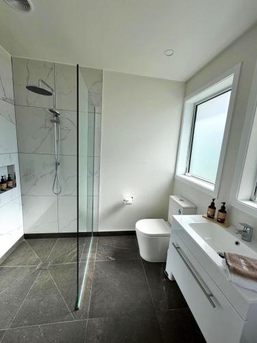 a bathroom with a shower and a toilet and a sink at Mt Cook View Motel - Fox Glacier in Fox Glacier