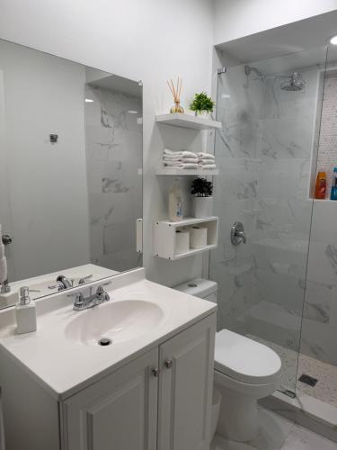 a bathroom with a sink and a toilet and a shower at The Lyons' Lair in Chicago