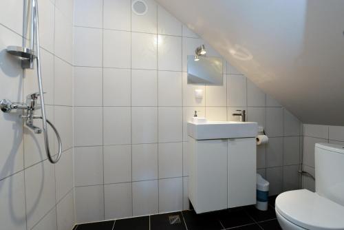 a bathroom with a toilet and a sink at Žuvienės Pašiūrė in Rubikiai
