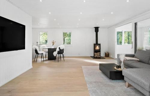a living room with a couch and a fireplace at Nice Home In Farsø With House A Panoramic View in Farsø