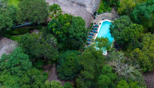 an overhead view of a swimming pool in a forest at Spice Village Thekkady - A CGH Earth Experience in Thekkady