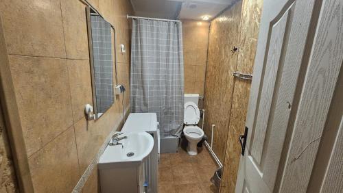 a small bathroom with a toilet and a sink at Victoriei54YOU in Bucharest