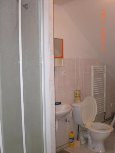 a bathroom with a toilet and a sink at Na 15 Kopách in Kolín