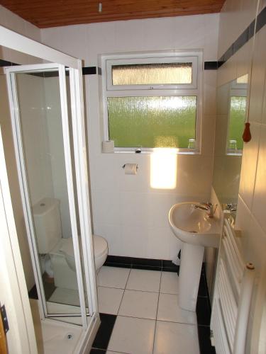 a bathroom with a sink and a toilet and a window at Manor House Marine & Cottages in Irvinestown