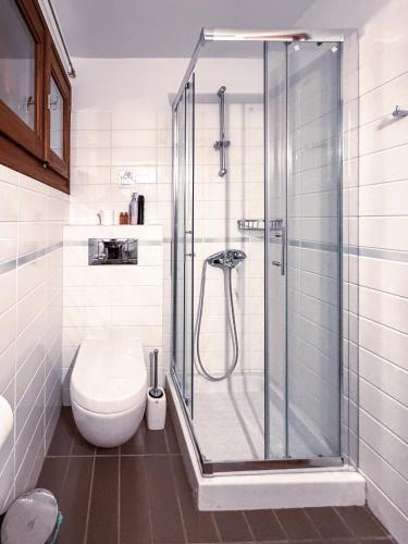 a bathroom with a shower and a toilet at Villa Maria Amalia in Tsagarada