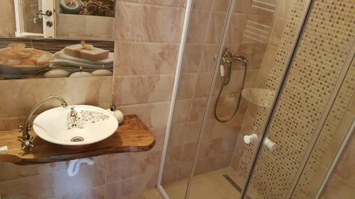 a bathroom with a sink and a shower at Pensiunea Agroturistica Cerna, Vaideeni - Polovragi in Vaideeni