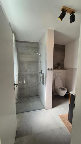 a bathroom with a shower and a toilet at CasaFranken in Wiesenthau