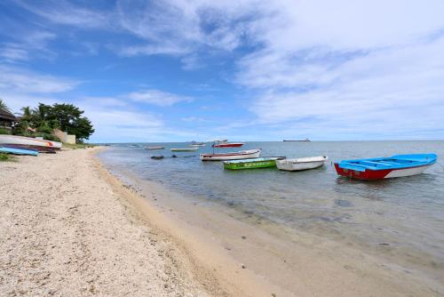Cosy Nest Frangipani