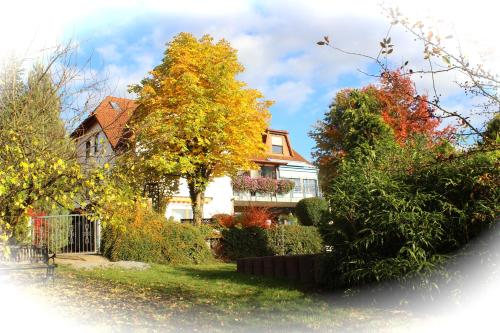a house with trees and bushes in front of it at Pension Höchemer in Bad Bocklet