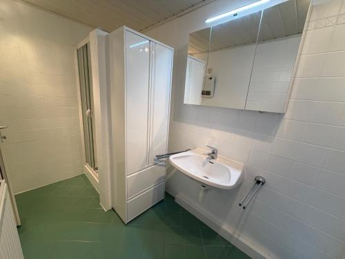 a white bathroom with a sink and a shower at Haus Ingrid in Mauerbach