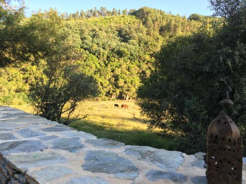 a stone wall with a view of a field and trees at Quinta das Levadas - Country House & Nature in Alvoco das Várzeas