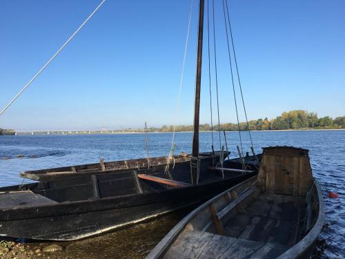 a boat sitting on the shore of a body of water at Belle vue in Montsoreau