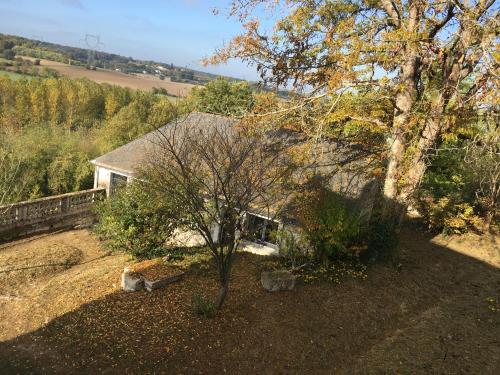 a house with a tree in a yard at Belle vue in Montsoreau